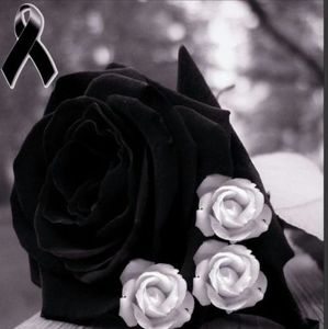 Meet your Posher, Maria antonio